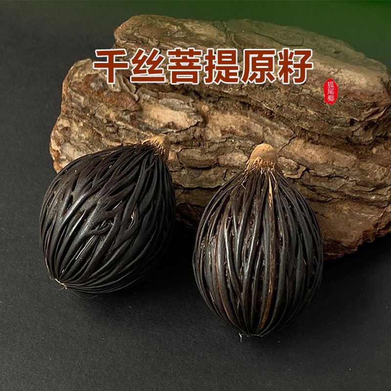 千丝菩提原籽狐尾椰子种子男女diy配件文玩手把件钥匙扣图片