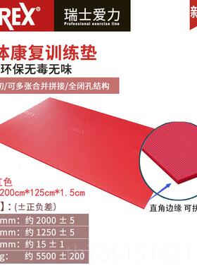 高档人瑞士爱力irex专业双A垫初者健身学瑜伽垫红色普拉提康复垫1