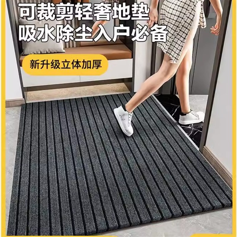 进门垫防滑脚垫门外耐脏免洗可擦玄关可裁剪门口高级感入户门地垫