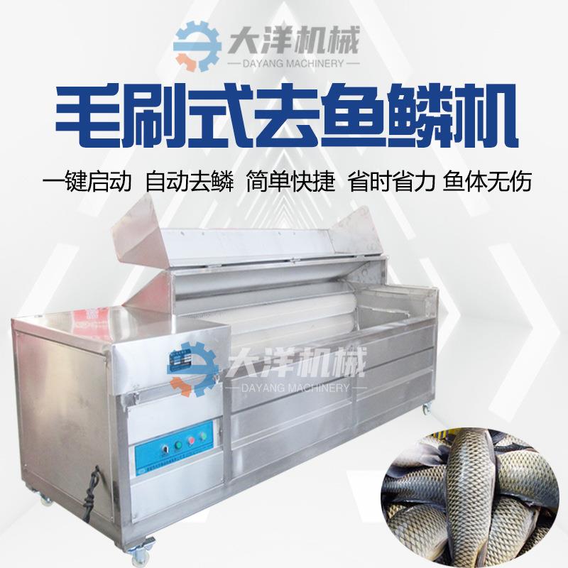鲜鱼去鳞机商用脱鱼鳞机毛刷式鲫鱼刮鳞设备半自动扇贝清洗设备