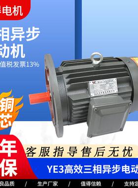 YE3系列三相异步电动机YE3-280M-6极-55w高效率节能电动机现货