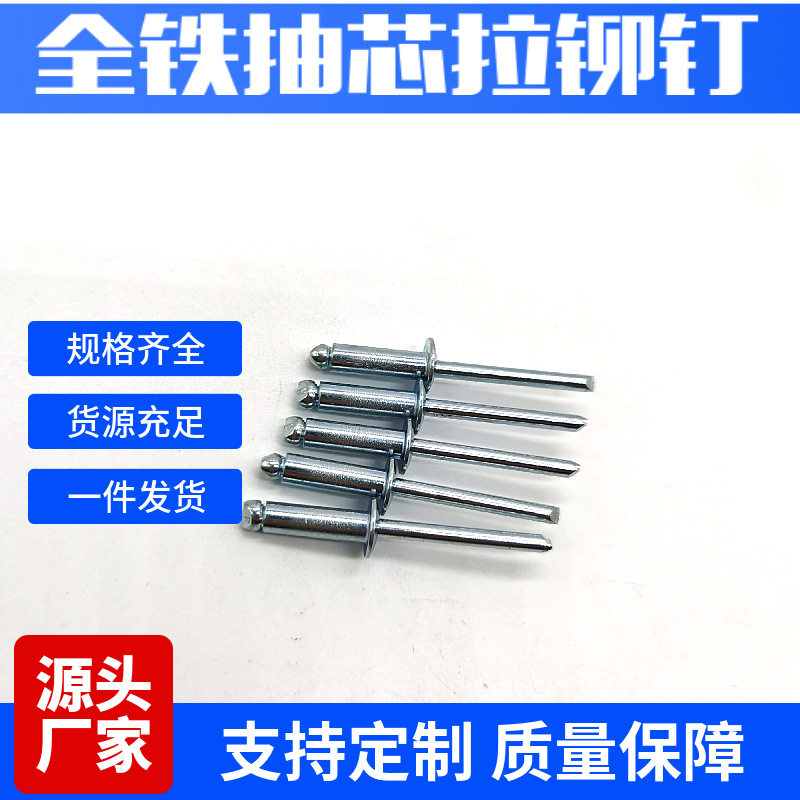 厂价批发全铁拉铆钉 抽芯铁拉铆钉 半圆头碳钢铁铆钉拉柳丁