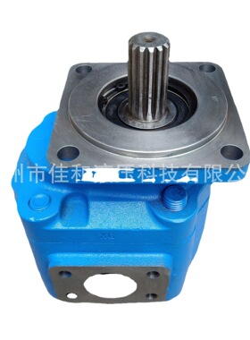 供应龙工装载机工作泵60301000042   齿轮泵J2100C