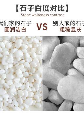 40斤白色石子sy-00123小鹅卵石庭院路石造铺地装饰头阳台铺花园白