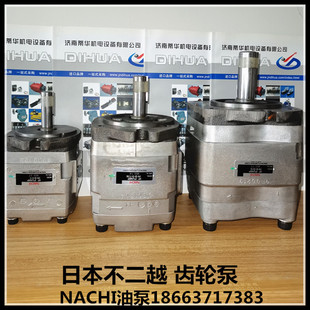 6.5 试验机齿轮泵 日本不二越NACHI油泵IPH