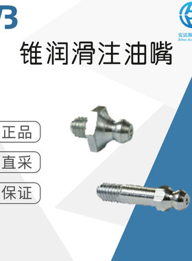 工厂直采 德国 WTB锥润滑注油嘴 DIN 71412 A (H1)  多型号