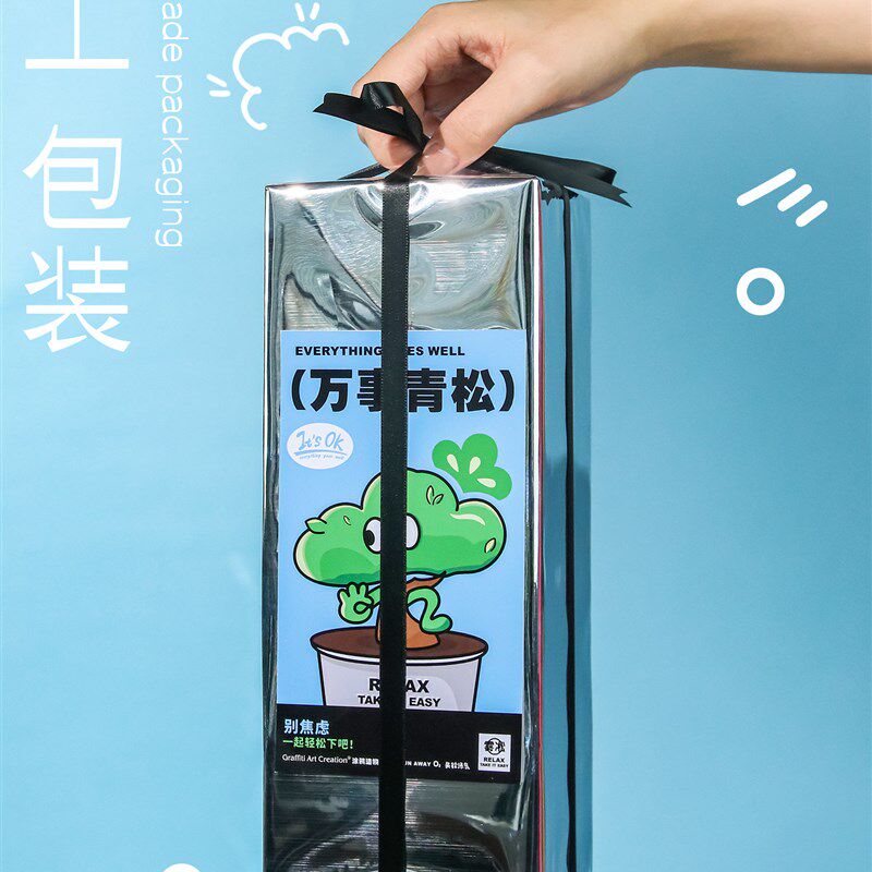 造物 x 博库 放青松创意雾凇植物H盆栽办公室桌面绿植摆件礼物
