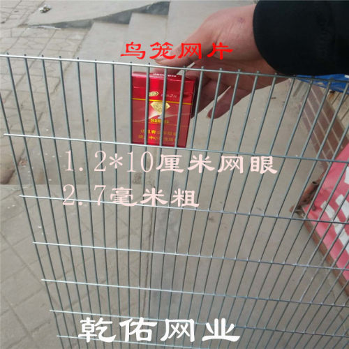加密1.2厘米小长孔鸟笼具专用网片鸽笼镀锌电焊T养殖仓鼠花架网格