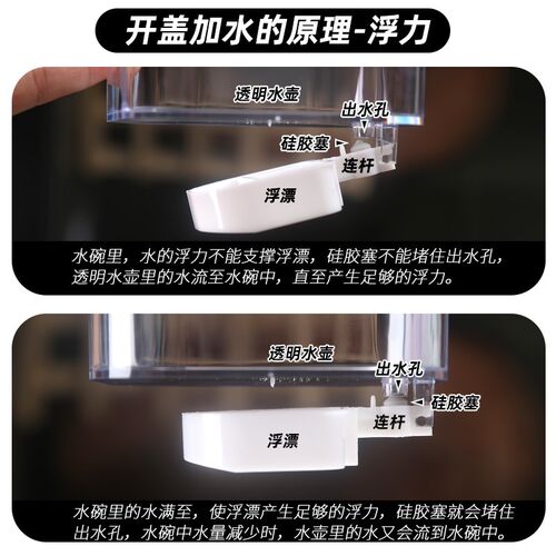 猫咪碗双碗自动饮水器o水碗盆不易打翻猫粮喝水喂食一体宠物小体