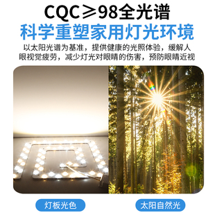 LED进口原装普瑞芯片全光谱卧室 吸顶灯替换芯吸顶灯灯条家用超亮