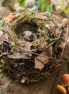 掬涵 天然草藤鸟窝鸟巢鸟屋园林庭院装饰吊饰杂货花园造景道具