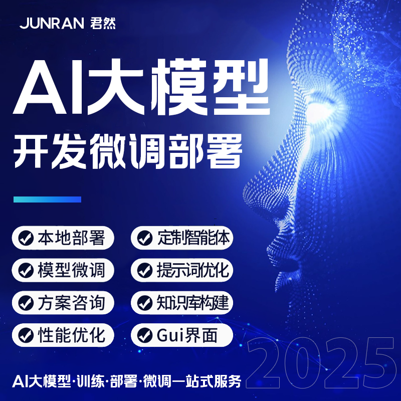 ai大模型应用开发AI人工智能小程序语言云端训练模型微调部署定制