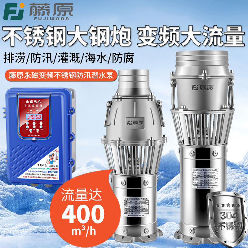 藤原永磁变频大流量防汛泵