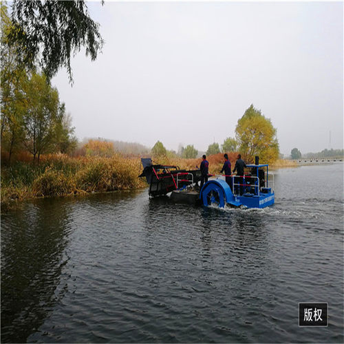 水葫芦水草打捞运输船 液压水葫芦收割打捞设备 大型河道运草船