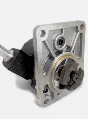 真空泵 504021497 F009D00058