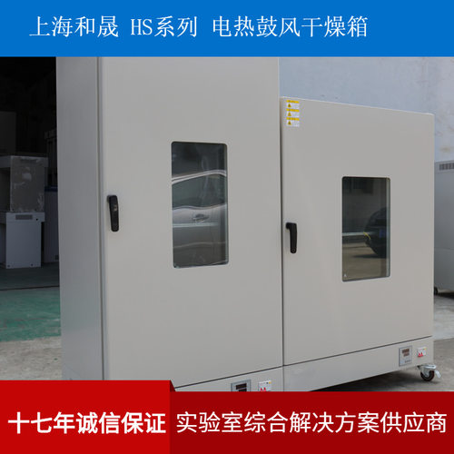 上海和晟 HS-DHG-9140B 电热鼓风干燥箱 450*550*550 140L干燥箱