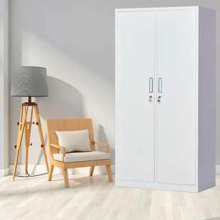 二门更衣柜员工柜寄存包柜宿舍鞋 柜钢制铁皮柜储物柜工厂碗柜