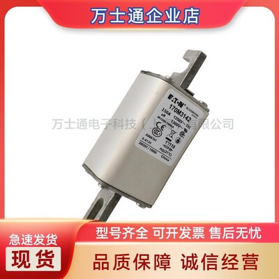 170M3493170M3494170M3495170M3496170M3497全新熔断器现货