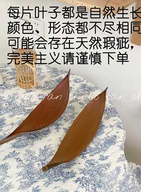 正品TJJin小s同款北欧风家居摆件艺丨术作室民宿摆设工天然叶子众