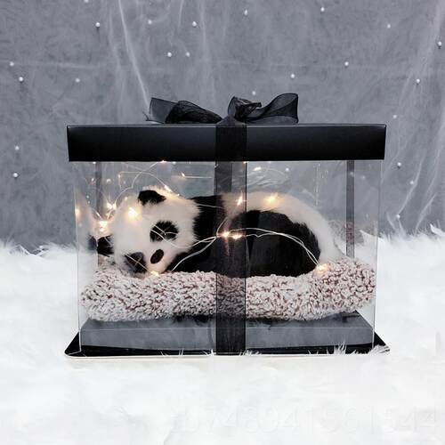 正品日生礼物教师节礼物猫咪创礼物少女心特意别走心送闺蜜礼女友