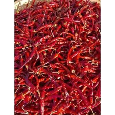 湖南特产怀化农家自晒干红辣椒特香辣中辣特辣微辣二荆条邹皮薄皮