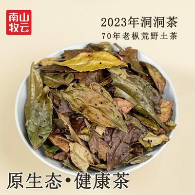 南山牧云福鼎白茶洞洞茶荒野老树虫咬土茶群体种贡眉抛荒菜茶叶