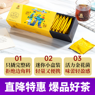 泾渭茯茶 陕西特产非遗 咸阳茯茶砖茶黑茶叶金花 80g益生袋泡