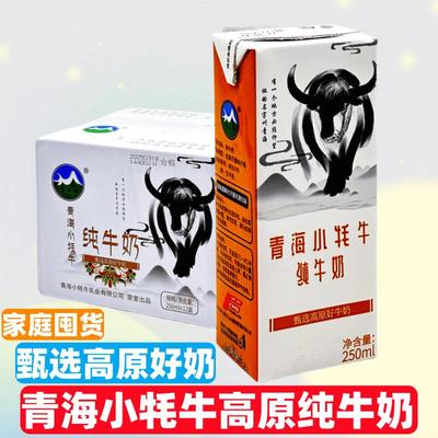 青海小牦牛纯牛奶甄选高原奶源 青藏牛乳250ml盒装学生营养早餐奶