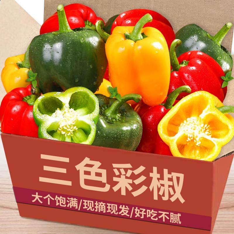 现摘3色彩椒生吃不辣五彩椒新鲜圆椒椒红椒黄椒绿椒彩辣椒水果椒,水产肉类/新鲜蔬果/熟食,辣椒,淘宝优惠券,粉丝福利购,淘宝优惠卷