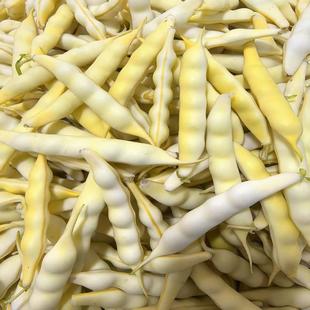 今年新鲜黄豆角东北黄金勾豆角油豆角兔子翻白眼勾勾黄豆角