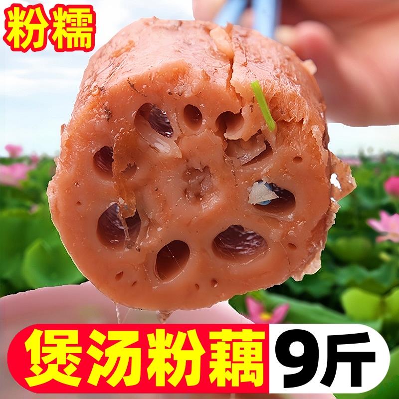 正宗湖北莲藕新鲜现挖煲汤粉糯洪糯米藕炖汤湖特产九孔粉藕红莲藕