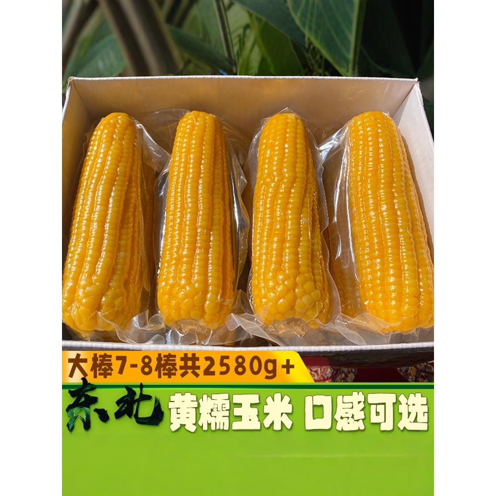 东北新鲜糯玉米棒黄糯真空保鲜熟玉米甜粘香大棒7-8棒5斤