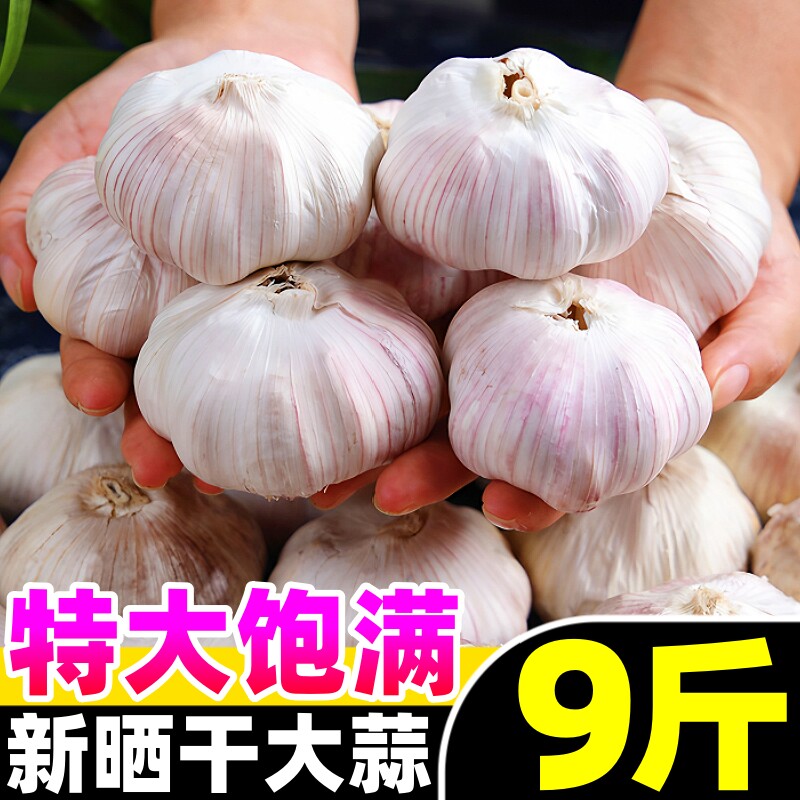 【干大蒜热卖榜】官方推荐