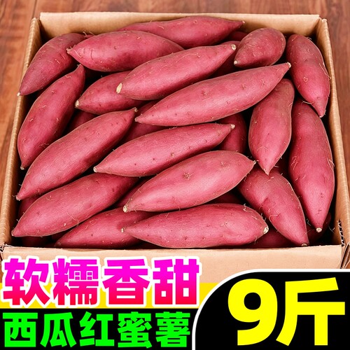 【正宗西瓜红薯热卖榜】官方推荐