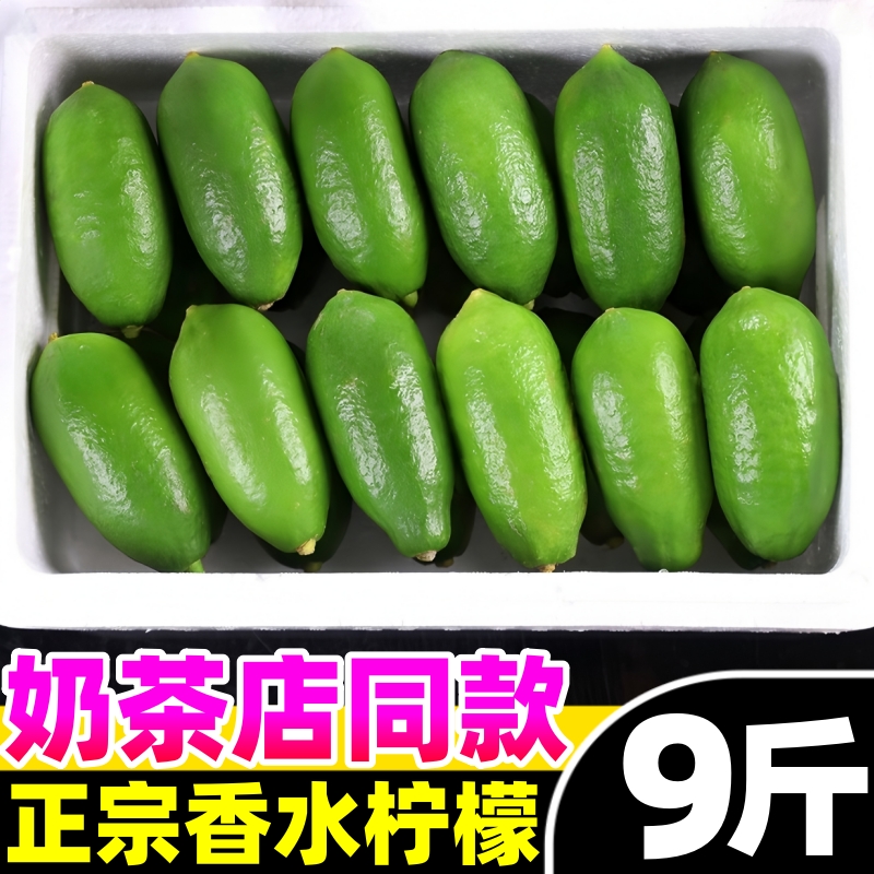 正宗广东香水柠檬新鲜青柠檬鲜果奶茶店专用无籽爆香型子弹头现摘