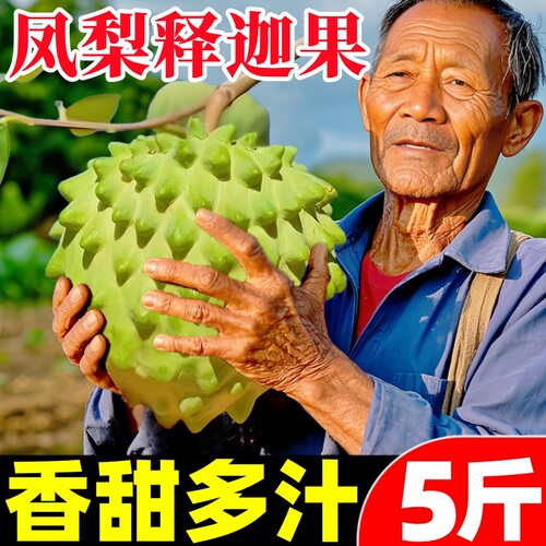 【释迦果热卖榜】官方推荐