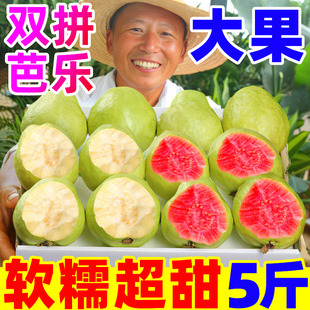 红心芭乐新鲜水果5斤红心番石榴奶油芭巴乐软糯胭脂红番石榴 包邮