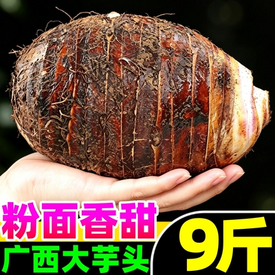 【新鲜大芋头热卖榜】官方推荐