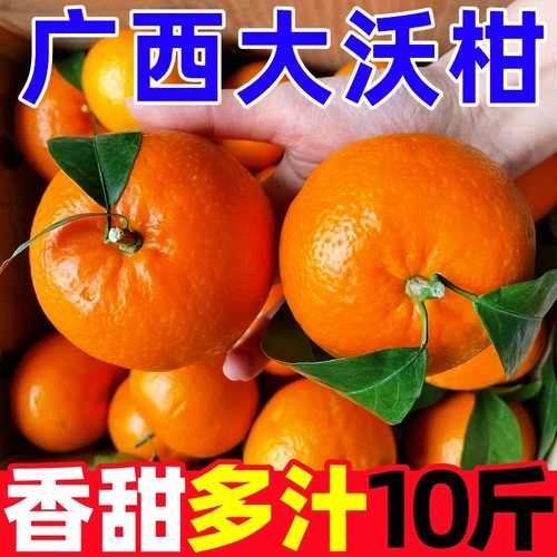 【新鲜沃柑热卖榜】官方推荐