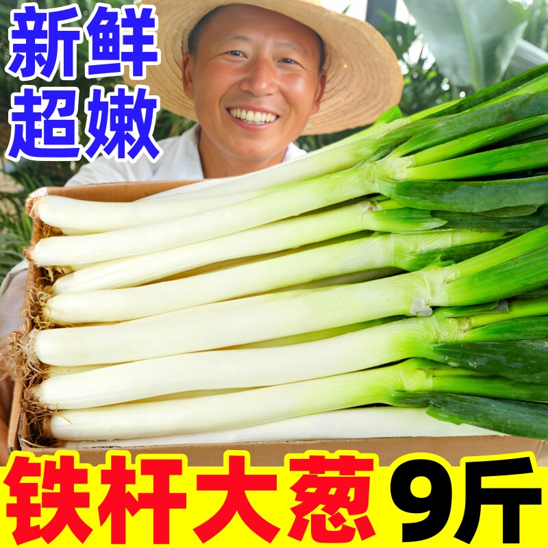 正宗山东铁杆大葱9斤新鲜蔬菜东北大葱甜葱蘸酱特产整箱批发包邮