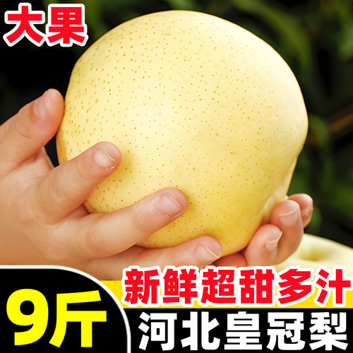 【新鲜皇冠梨热卖榜】官方推荐