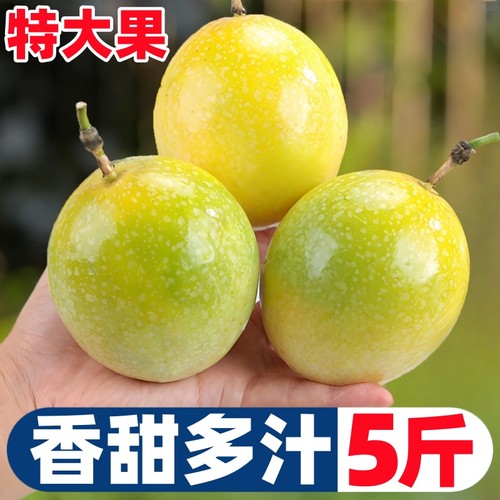 【黄金百香果热卖榜】官方推荐