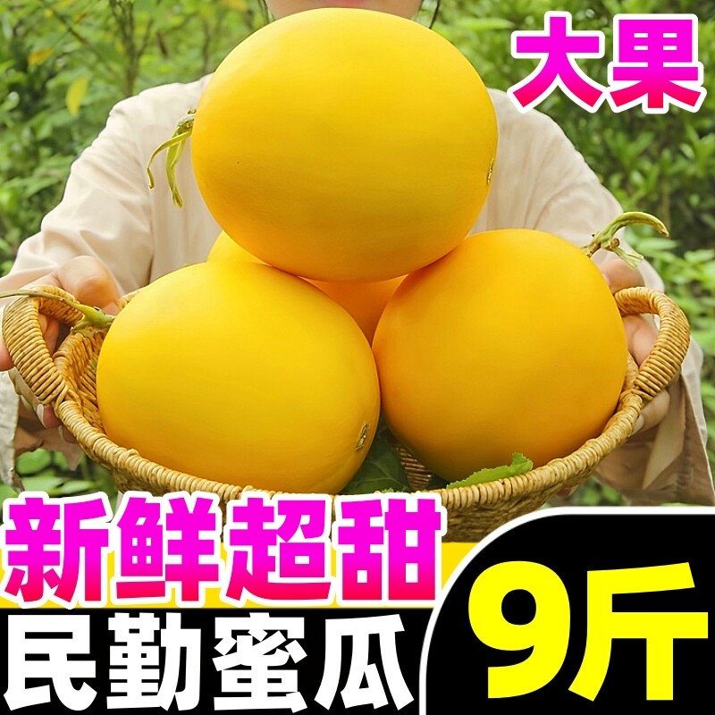 【民勤蜜瓜热卖榜】官方推荐