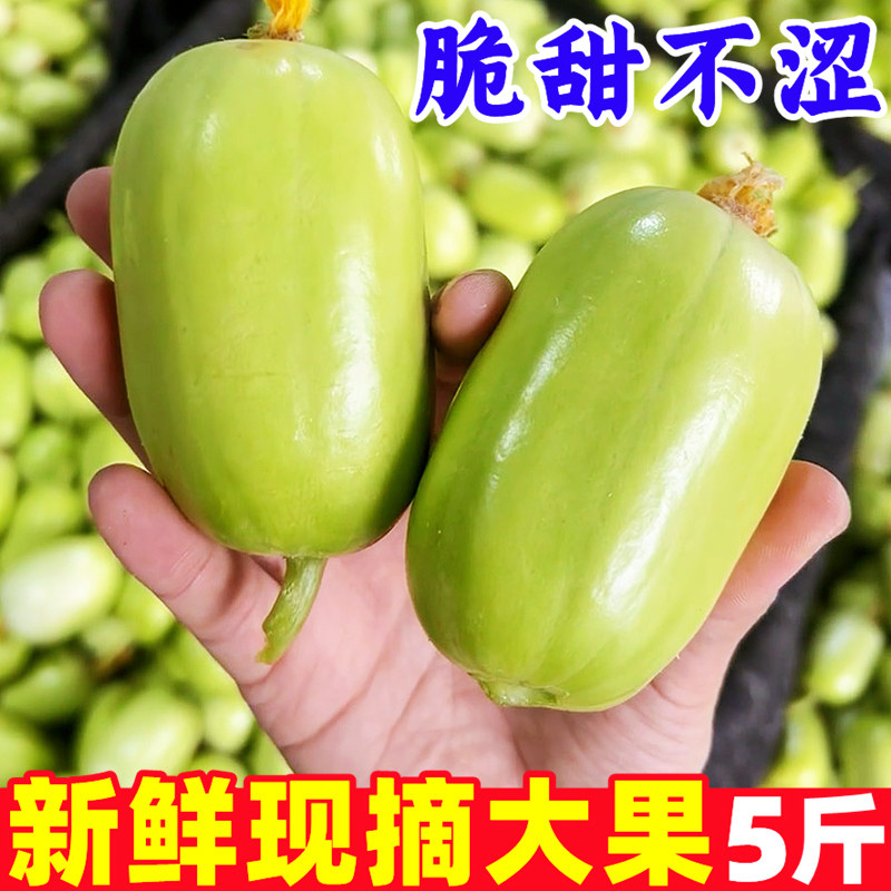 山东新鲜现摘玉女黄瓜水果黄瓜拇指小黄瓜脆甜小青瓜沙拉生吃蔬菜