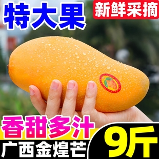 广西金煌芒新鲜芒果10斤当季热带水果大青芒超大特大水仙芒果包邮