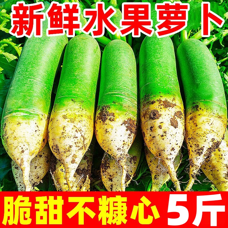 【脆甜水果萝卜热卖榜】官方推荐