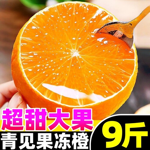 【青见果冻橙热卖榜】官方推荐