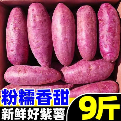 广西紫薯新鲜9斤农家自种沙地紫罗兰小红薯番薯板栗地瓜蜜薯烟薯