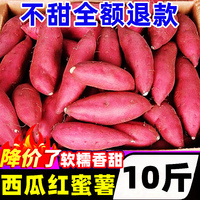 【正宗西瓜紅薯好評榜】官方推薦