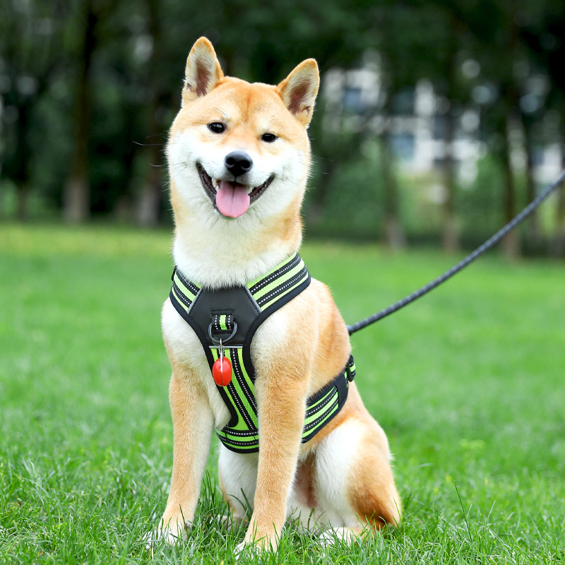 狗狗牵引绳中型犬柴犬柯基背心式胸背大型犬金毛防爆冲遛狗绳狗链